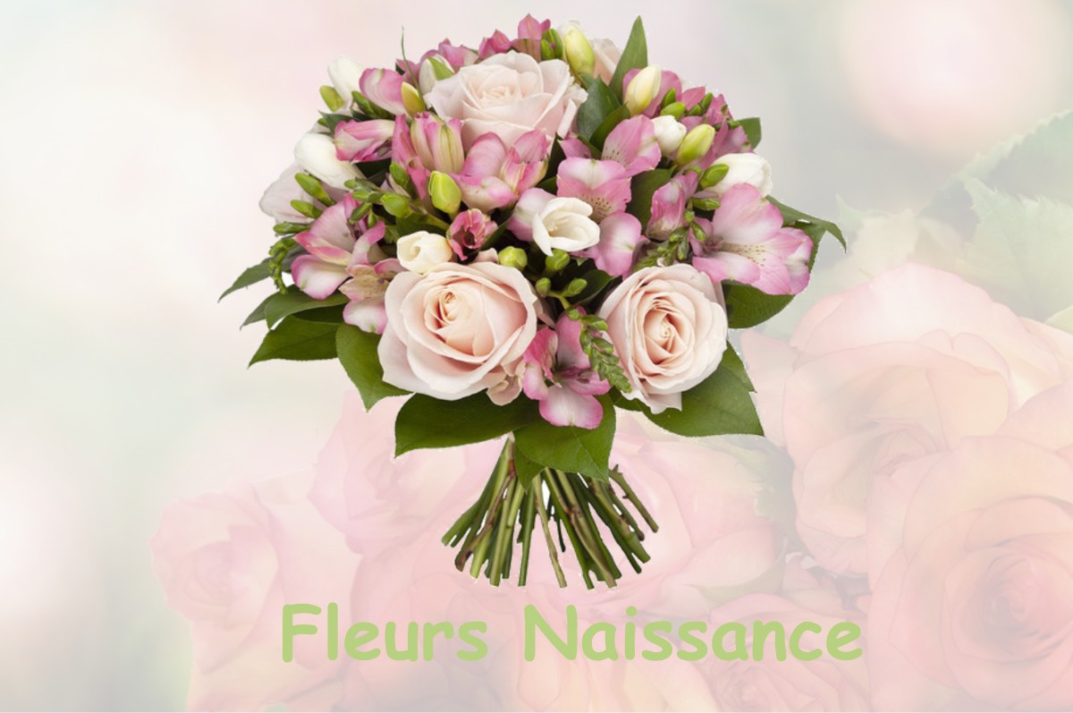 fleurs naissance MARSEILLES-LES-AUBIGNY